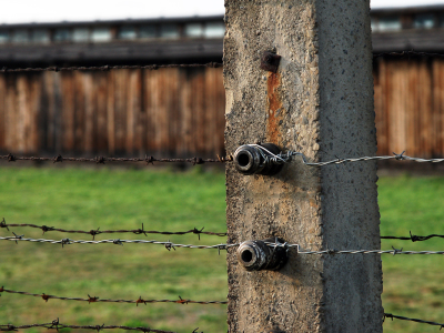 Day 2: Auschwitz